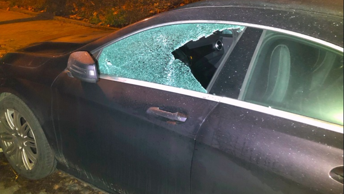 BPOLI MD: Zeugenaufruf der Bundespolizei: Wurfgeschoss beschädigt Regionalbahn - Foto: presseportal.de