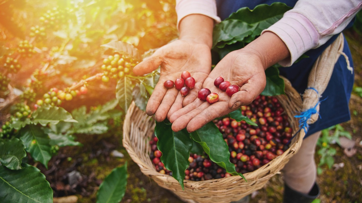 FW-AUR: Aufwendige technische Rettung nach Verkehrsunfall - Foto: presseportal.de
