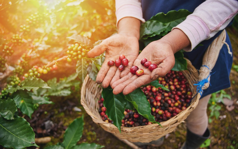FW-AUR: Aufwendige technische Rettung nach Verkehrsunfall - Foto: presseportal.de
