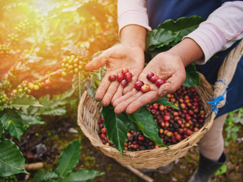 FW-AUR: Aufwendige technische Rettung nach Verkehrsunfall - Foto: presseportal.de
