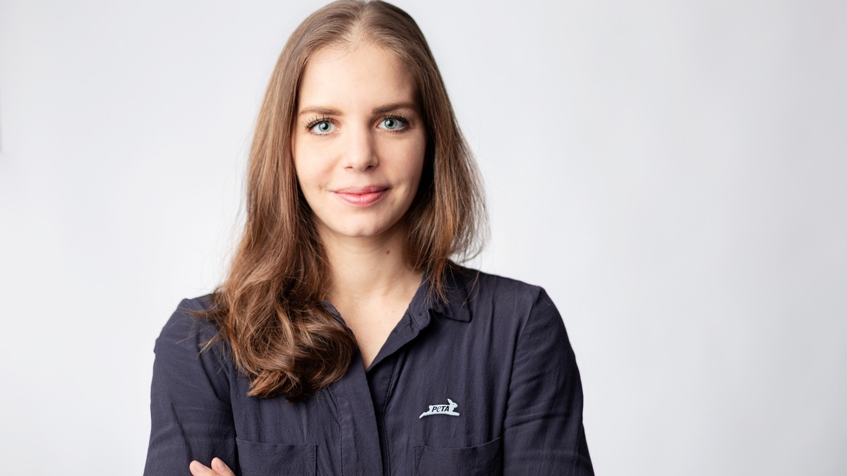 Osnabrücker Gericht erlaubt Transport von 105 schwangeren Kühen nach Marokko: PETA übt scharfe Kritik / Organisation fordert Exportverbot in Drittstaaten - Foto: presseportal.de