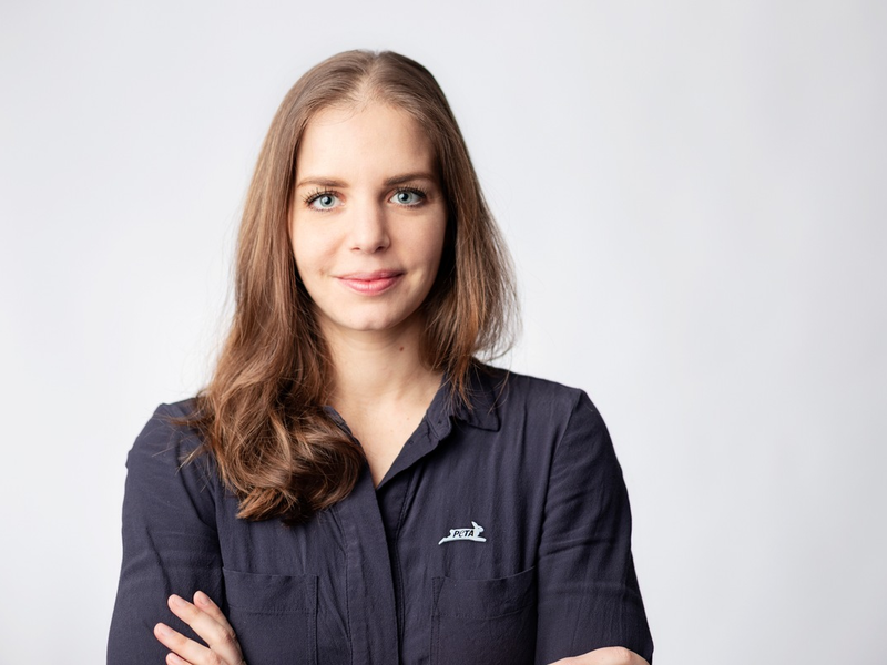 Osnabrücker Gericht erlaubt Transport von 105 schwangeren Kühen nach Marokko: PETA übt scharfe Kritik / Organisation fordert Exportverbot in Drittstaaten - Foto: presseportal.de