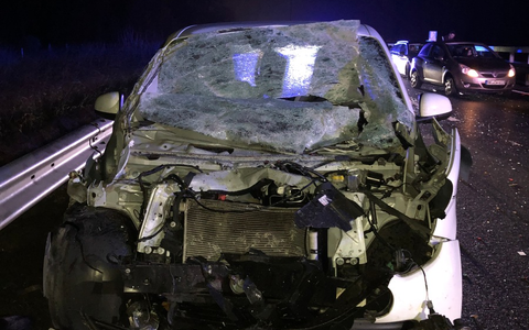 POL-PDLD: Von Fahrbahn abgekommen - Foto: presseportal.de