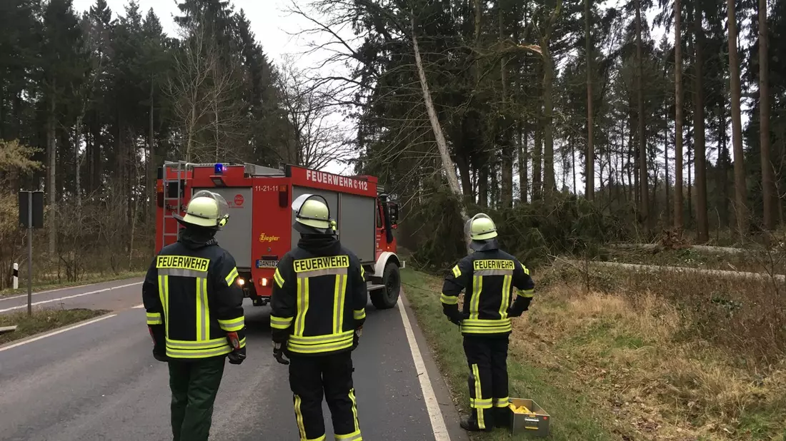 FW-NE: Feuer in Industriehalle im Neusser Hafengebiet | Maschinenbrand greift auf Dach über | Zwei Personen verletzt - Bild: presseportal.de