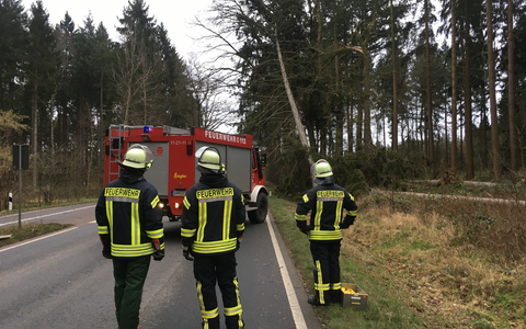 FW-NE: Feuer in Industriehalle im Neusser Hafengebiet | Maschinenbrand greift auf Dach über | Zwei Personen verletzt - Foto: presseportal.de