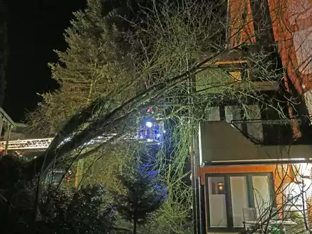 LPI-NDH: Pkw dank Baum vor dem Wasser gestoppt - Foto: presseportal.de