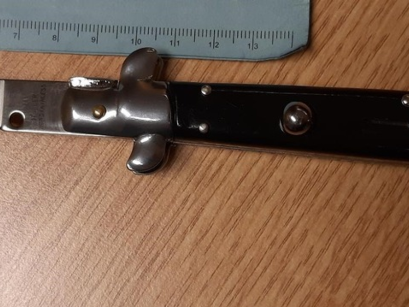 BPOL-FL: ELM - Bundespolizei greift am Bahnhof durch - Foto: presseportal.de