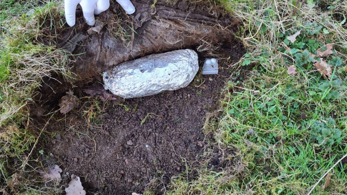 POL-HOL: Gemeinsame Pressemitteilung der Staatsanwaltschaft Hildesheim und dem Polizeikommissariat Holzminden zur Sicherstellung großer Mengen Cannabis. - Foto: presseportal.de