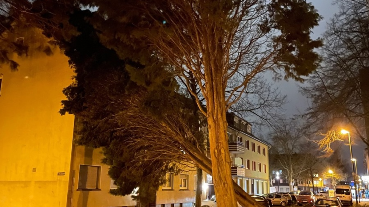 POL-HR: Wabern / Melsungen - Öffentlichkeitsfahndung - Computerbetrug mittels rechtswidrig erlangter Debitkarte - Foto: presseportal.de