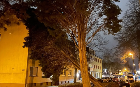 POL-HR: Wabern / Melsungen - Öffentlichkeitsfahndung - Computerbetrug mittels rechtswidrig erlangter Debitkarte - Foto: presseportal.de POL-HR: Wabern / Melsungen - Öffentlichkeitsfahndung - Computerbetrug mittels rechtswidrig erlangter Debitkarte - Foto: presseportal.de