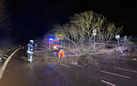 FW-DO: Kellerbrand in Mehrfamilienhaus - Mehrere Menschen über Drehleitern gerettet - Foto: presseportal.de