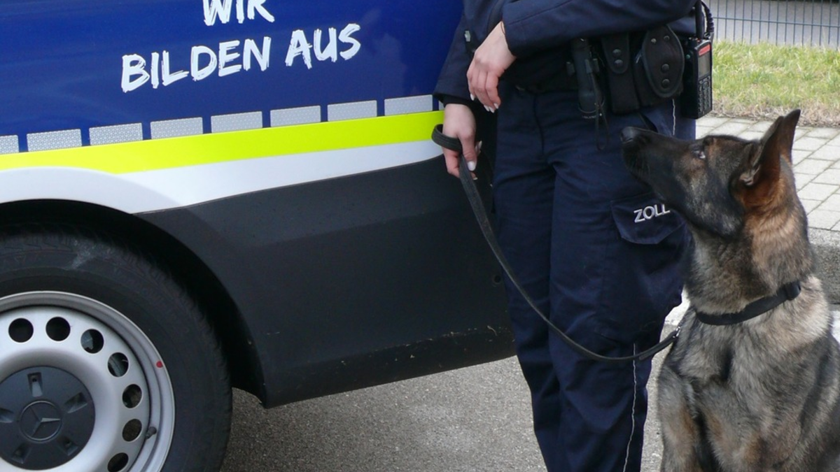 HZA-LÖ: Ausbildungs- und Studienberatung des Zolls hält Einzug in den STADTRAUM Offenburg Pop-up-Store vom 28. Juli bis 2. August geöffnet - Foto: presseportal.de