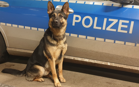 POL-HH: 231122-4. Zwei Festnahmen nach Einbruch in Hamburg-Neugraben-Fischbek - Foto: presseportal.de