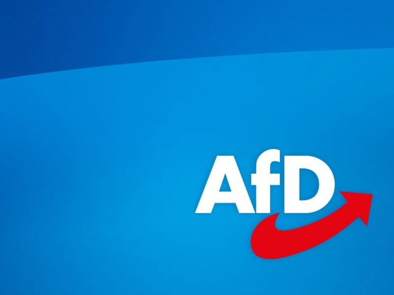 Nicole Höchst und Petr Bystron nehmen als Vertreter der AfD am Begräbnis von Papst Franziskus teil - Foto: presseportal.de