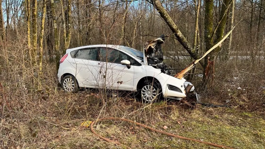 HZA-DA: Über 700 Kilogramm Krebstiere ohne Nachweise - Zoll untersagt Weitertransport - Bild: presseportal.de