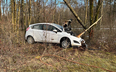 HZA-DA: Über 700 Kilogramm Krebstiere ohne Nachweise - Zoll untersagt Weitertransport - Foto: presseportal.de
