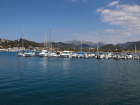 Auch am Ballermann sollte man am Strand nur legal verkaufte Produkte konsumieren. (Archivfoto) - Foto: Clara Margais/dpa