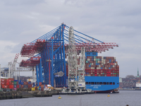 Container am Terminal Burchardkai im Hamburger Hafen. - Foto: Marcus Brandt/dpa