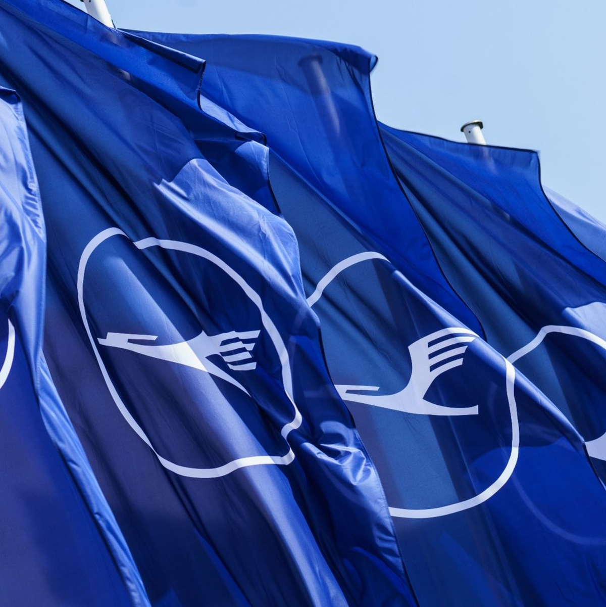 Die Lufthansa findet einen neuen Aufsichtsratschef  (Archivbild) - Foto: Andreas Arnold/dpa