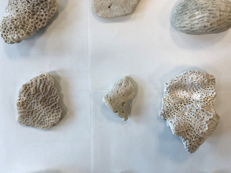 POL-OLD: Oldenburg/Lohne/Lembruch +++ Delegiertenempfang zur 4. Europäischen Polizeimeisterschaft im Frauenfußball in der Polizeidirektion Oldenburg +++ - Foto: presseportal.de