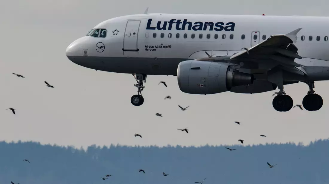 Eine Passagiermaschine der Lufthansa rollt auf dem Flughafen Frankfurt zu ihrer Startposition. - Bild: Boris Roessler/dpa