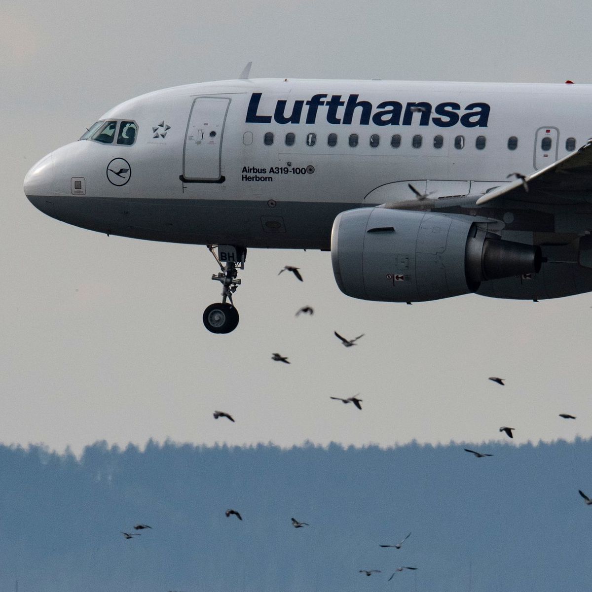 Die Heckflosse einer Lufthansa-Maschine ragt vor dem Verwaltungsgebäude in Frankfurt in den Himmel. - Foto: Boris Roessler/dpa