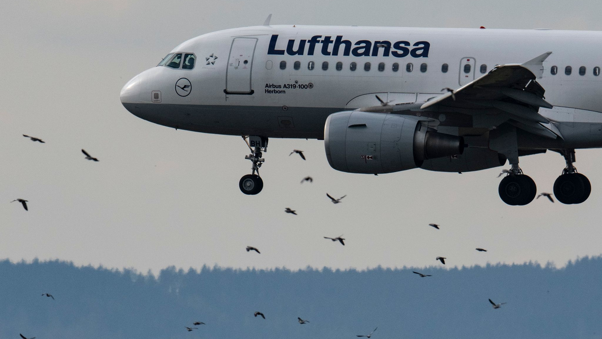 Die Heckflosse einer Lufthansa-Maschine ragt vor dem Verwaltungsgebäude in Frankfurt in den Himmel. - Foto: Boris Roessler/dpa