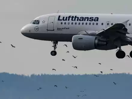 Lufthansa könnte erstmals wieder das Ergebnis aus dem Vor-Corona-Sommer 2019 übertroffen. - Foto: Boris Roessler/dpa