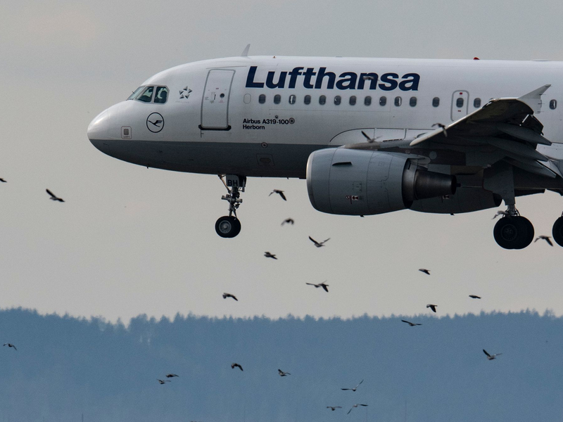 Flugzeuge der Lufthansa auf dem Airport in Frankfurt am Main. - Foto: Boris Roessler/dpa