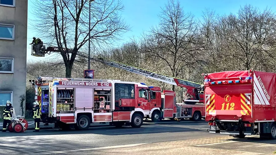 FW Moers: Moers-Mitte: Mehrere Bewohner bei Brand über Drehleitern gerettet / Moers-Meerbeck: Gartenhaus brannte in der Nacht - Bild: presseportal.de