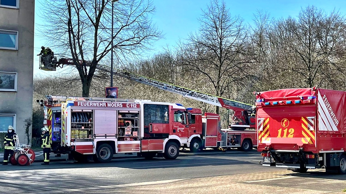 FW Moers: Moers-Mitte: Mehrere Bewohner bei Brand über Drehleitern gerettet / Moers-Meerbeck: Gartenhaus brannte in der Nacht - Foto: presseportal.de