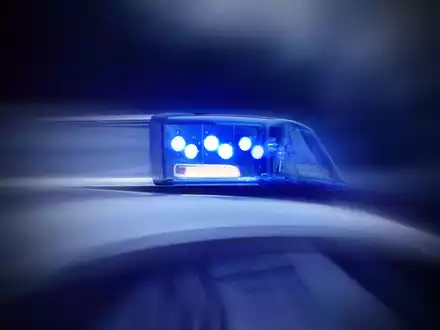 POL-ME: Erfolgsmeldung: Diensthündin stellt Einbrecher auf frischer Tat - Erkrath - 2408119 - Foto: presseportal.de