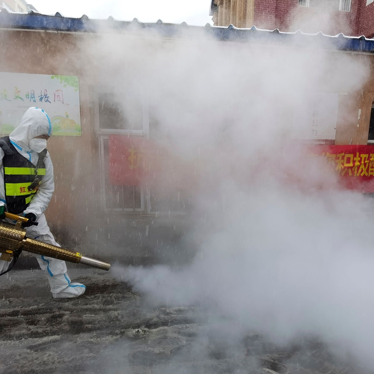 Die WHO fordert Zugang und Daten. (Foto: Archiv) - Foto: Uncredited/CHINATOPIX/AP/dpa