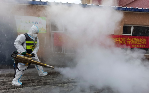 Die WHO fordert Zugang und Daten. (Foto: Archiv) - Foto: Uncredited/CHINATOPIX/AP/dpa