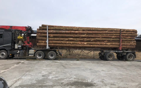 BPOL NRW: Bundespolizisten stellen Waffe und Munition bei 17-Jährigen sicher - Foto: presseportal.de