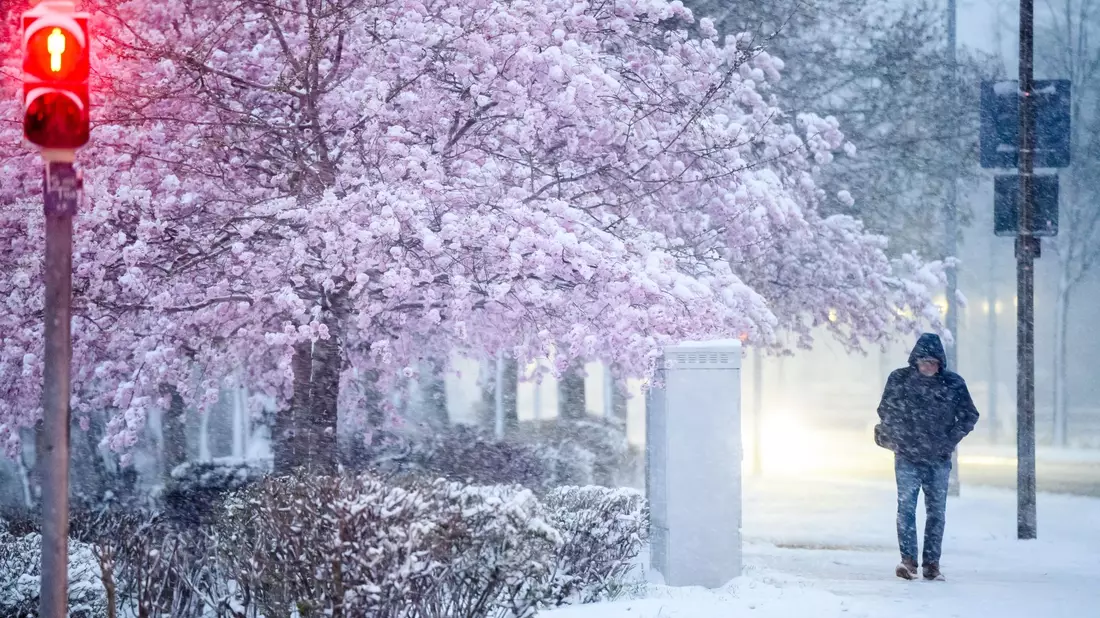 Im Norden und Osten wird am Freitag noch Schnee erwartet. - Bild: Julian Stratenschulte/dpa