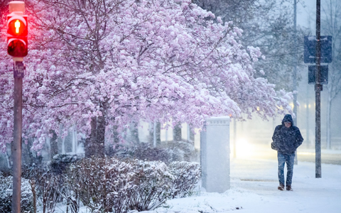 Im Norden und Osten wird am Freitag noch Schnee erwartet. - Foto: Julian Stratenschulte/dpa