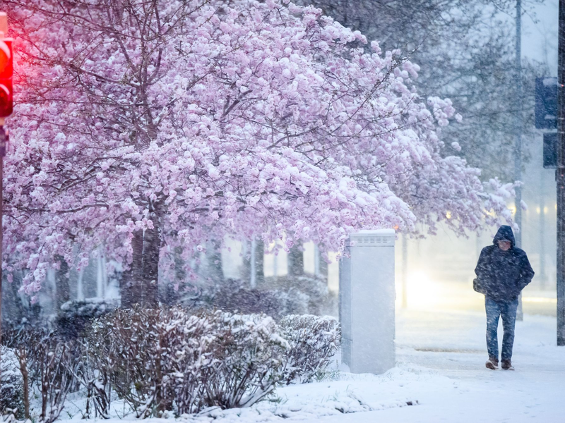 Im Norden und Osten wird am Freitag noch Schnee erwartet. - Foto: Julian Stratenschulte/dpa