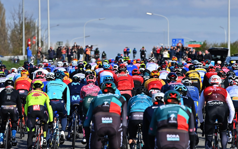 Rad-Profis bei der 109. Flandern-Rundfahrt. - Foto: Dirk Waem/BELGA/dpa