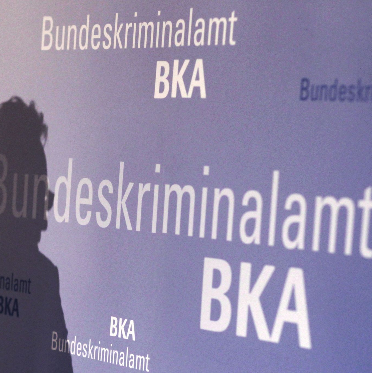 Zuletzt wurde die Polizeiliche Kriminalitätsstatistik für 2024 veröffentlicht.  - Foto: Fredrik von Erichsen/dpa