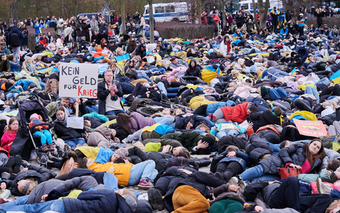 «Lasst die Geiseln frei»: Eine Demonstrantin mit einem Transparent auf der Kundgebung «Jüdisches Leben Berlin» für Israel und gegen Antisemitismus. - Foto: Annette Riedl/dpa