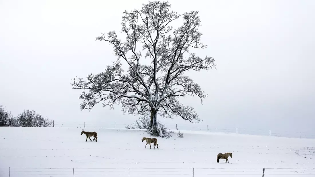 Ein Räumfahrzeug des Winterdienstes ist in Baden-Württemberg im Einsatz. In Schleswig-Holstein und Niedersachsen kam es wegen Streiks hingegen zu Einschränkungen. - Bild: Thomas Warnack/dpa