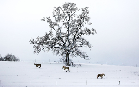 Ein Räumfahrzeug des Winterdienstes ist in Baden-Württemberg im Einsatz. In Schleswig-Holstein und Niedersachsen kam es wegen Streiks hingegen zu Einschränkungen. - Foto: Thomas Warnack/dpa