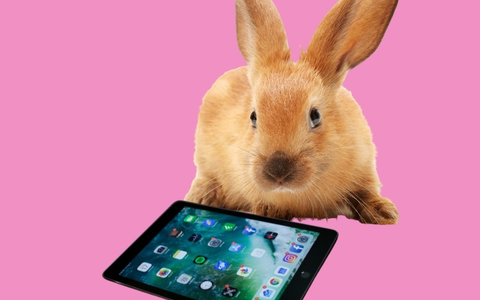 POL-NE: Malwettbewerb in den Ferien war ein voller Erfolg - Foto: presseportal.de