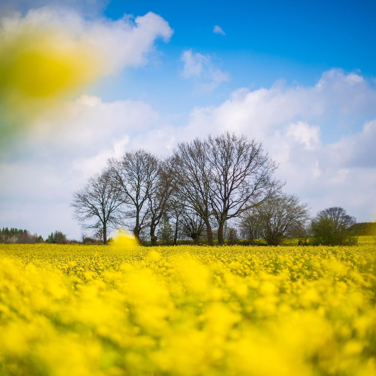 Wie warm oder kühl es auf der Erde ist, hängt auch von den Wolken ab. (Archivbild) - Foto: Sina Schuldt/dpa
