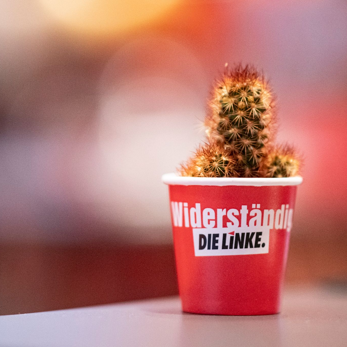 Das Linken-Spitzenduo Heidi Reichinnek und Jan van Aken nimmt Anlauf auf den erneuten Einzug in den Bundestag (Archivbild). - Foto: Fabian Sommer/dpa