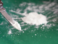 35 Tonnen Kokain sind im vergangenen Jahr im Hamburger Hafen entdeckt worden (Archivbild). - Foto: Marcus Brandt/dpa