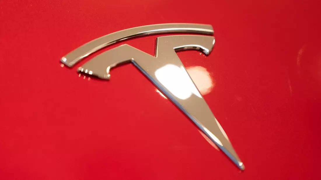 Die gepalnte Erweiterung der Tesla- Fabrik in Grünheide stößt auf Widerstand. - Bild: Christophe Gateau/dpa
