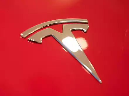 Die gepalnte Erweiterung der Tesla- Fabrik in Grünheide stößt auf Widerstand. - Foto: Christophe Gateau/dpa