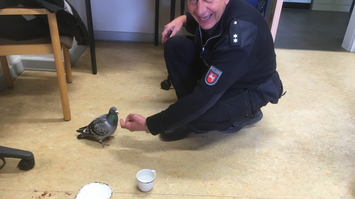 POL-HA: Flucht vor der Polizei - Zu schnell geflogen! - Foto: presseportal.de